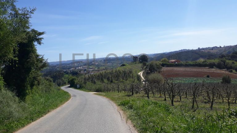 Quinhão Hereditário · Caldas da Rainha