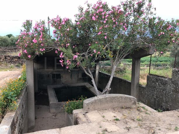 Quinta Secular em Reconstrução · Vila Flor