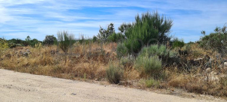 Terrenos · Almeida, Guarda