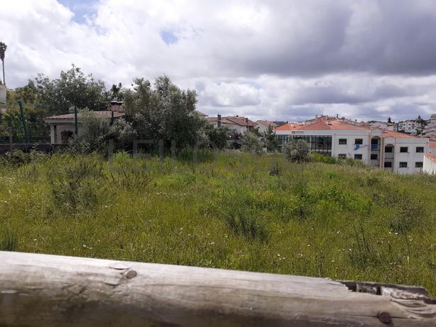 Quinhão Hereditário · Coimbra