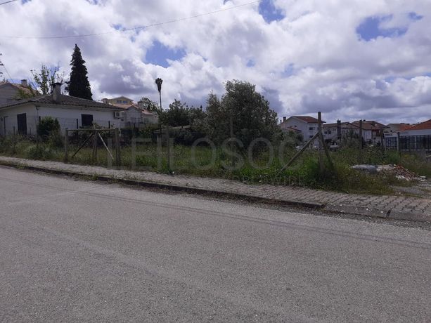 Quinhão Hereditário · Coimbra