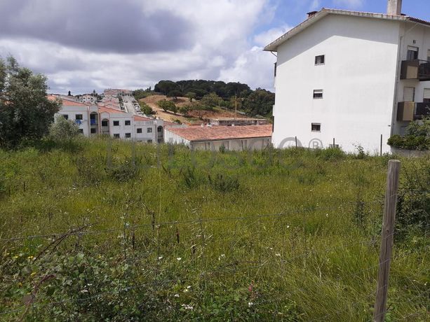 Quinhão Hereditário · Coimbra