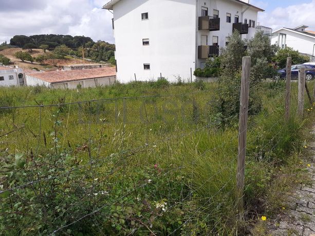 Quinhão Hereditário · Coimbra