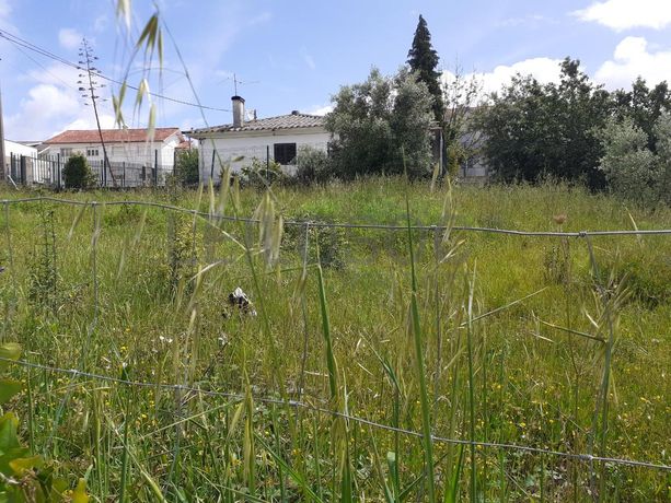 Quinhão Hereditário · Coimbra