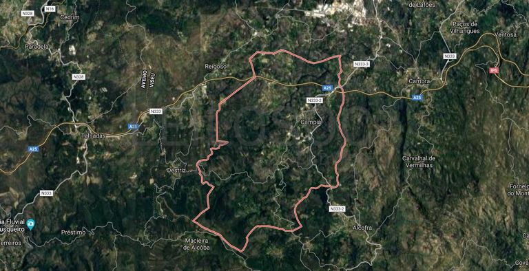 Terrenos · Campia, Vouzela