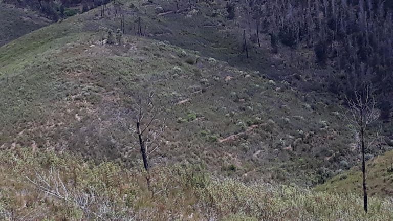 Terreno · Vila Velha de Ródão - Castelo Branco