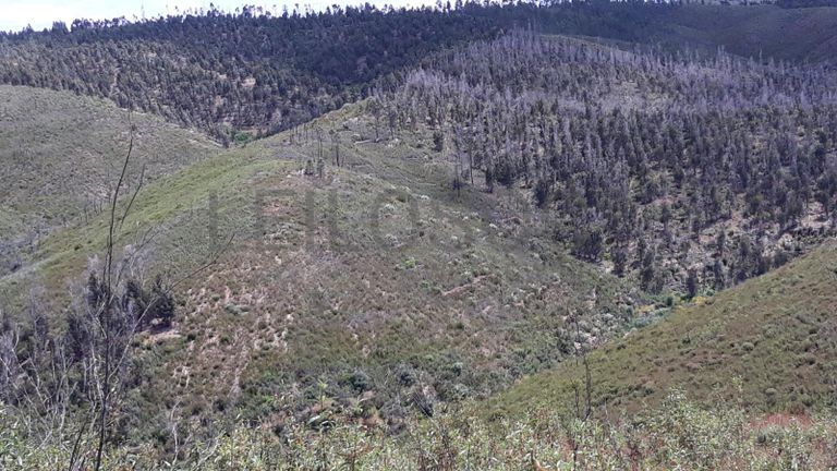Terreno · Vila Velha de Ródão - Castelo Branco