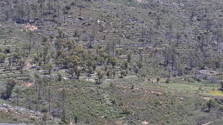 Terrenos · Vila Velha de Ródão - Castelo Branco