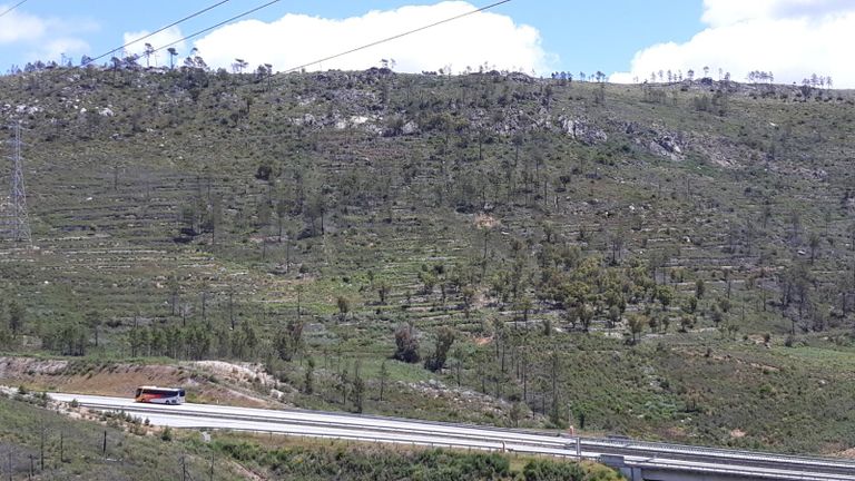 Terrenos · Vila Velha de Ródão - Castelo Branco