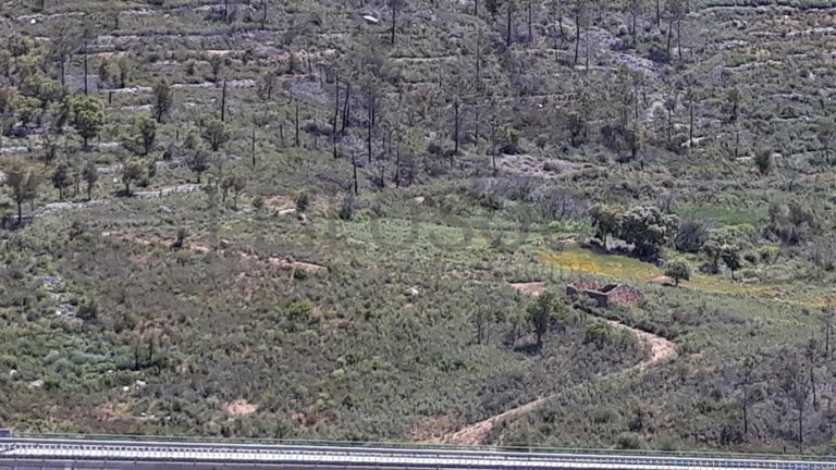 Terrenos · Vila Velha de Ródão - Castelo Branco