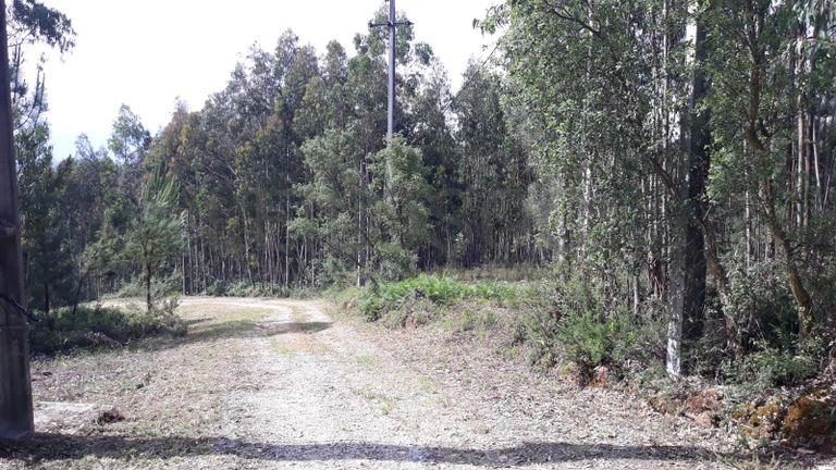 66.611/100.000 Terreno · Vila Nova de Poiares