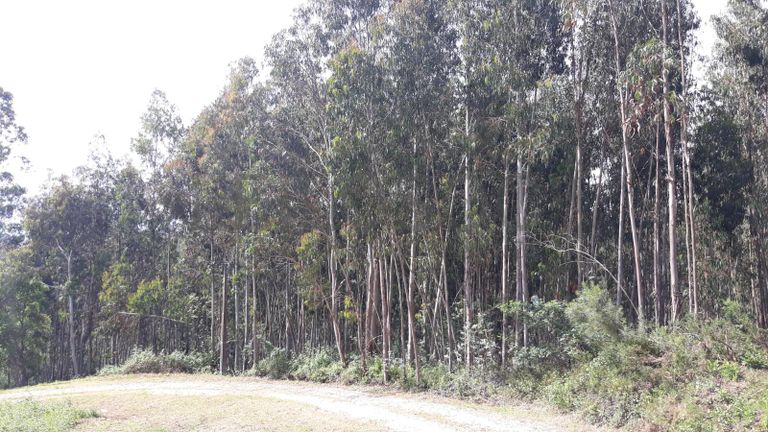 66.611/100.000 Terreno · Vila Nova de Poiares