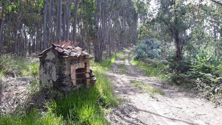 66.611/100.000 Terreno · Vila Nova de Poiares