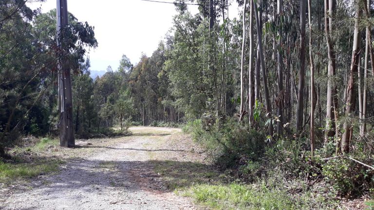 66.611/100.000 Terreno · Vila Nova de Poiares