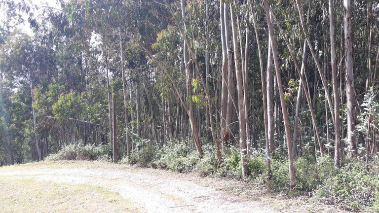 66.611/100.000 Terreno · Vila Nova de Poiares