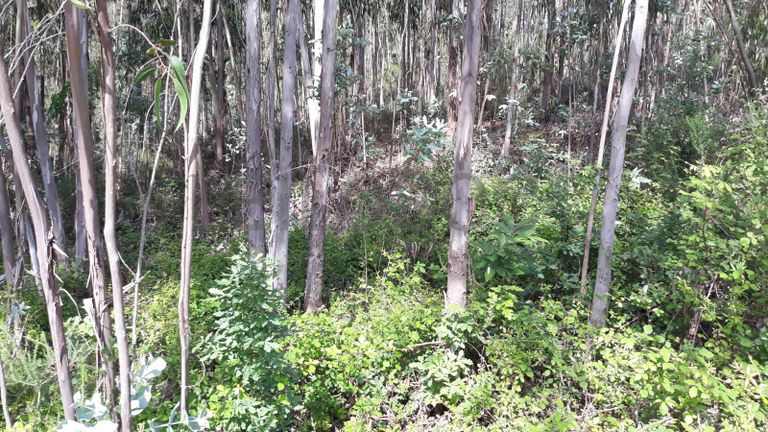 66.611/100.000 Terreno · Vila Nova de Poiares