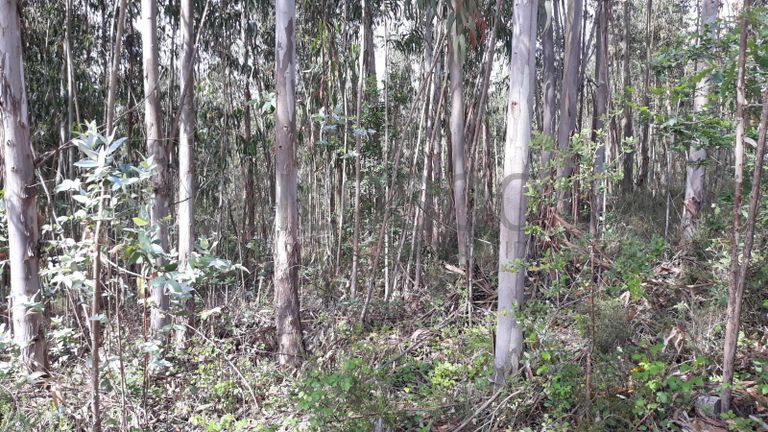 66.611/100.000 Terreno · Vila Nova de Poiares