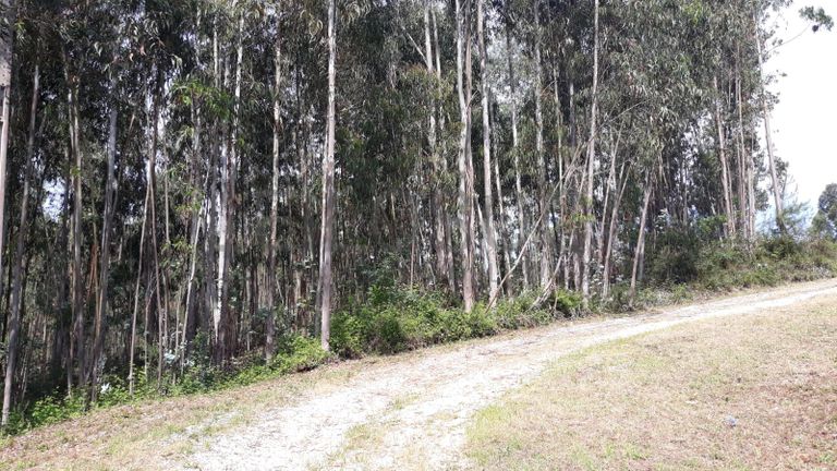 66.611/100.000 Terreno · Vila Nova de Poiares