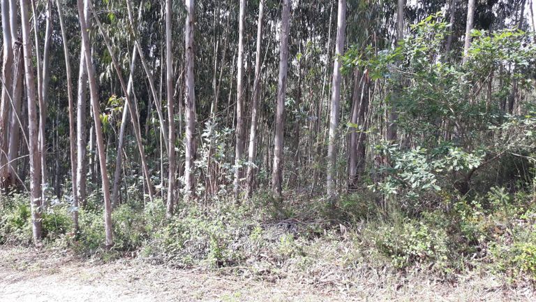 66.611/100.000 Terreno · Vila Nova de Poiares