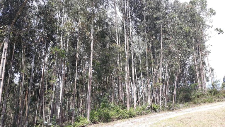 66.611/100.000 Terreno · Vila Nova de Poiares