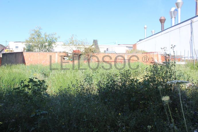 Armazém · Campo Maior