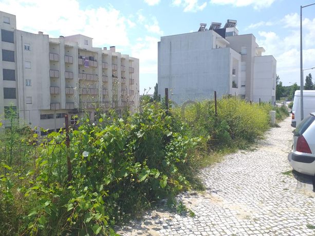 Quinhão Hereditário · Viseu