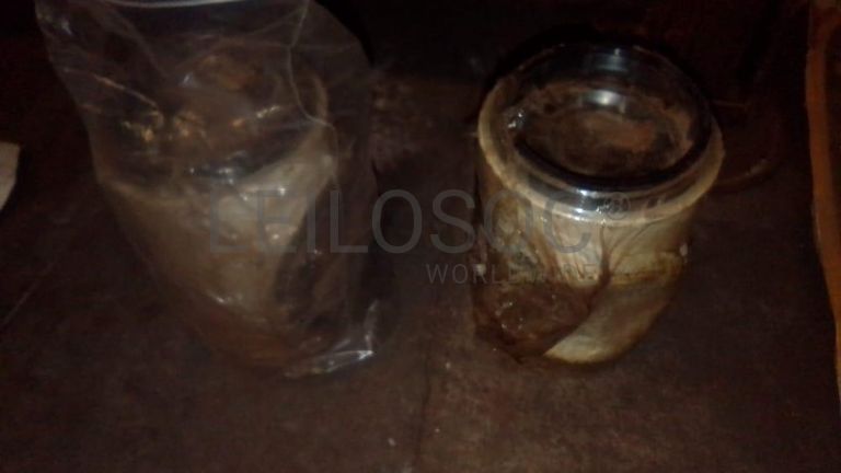 Peças e Acessórios ·