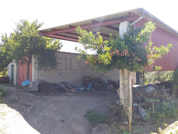 Quinhão Hereditário · Mirandela