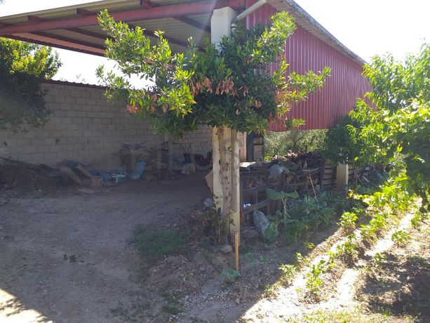 Quinhão Hereditário · Mirandela