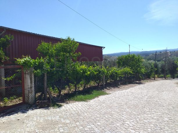 Quinhão Hereditário · Mirandela