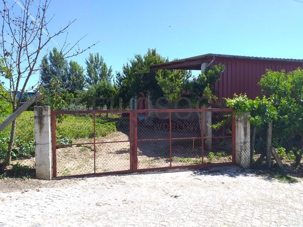 Quinhão Hereditário · Mirandela