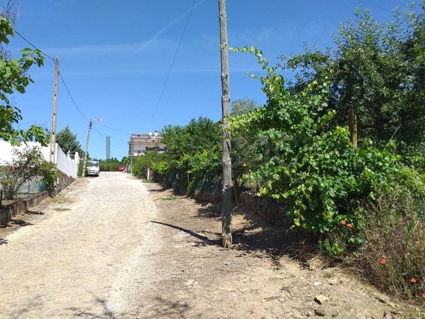 Quinhão Hereditário · Mirandela