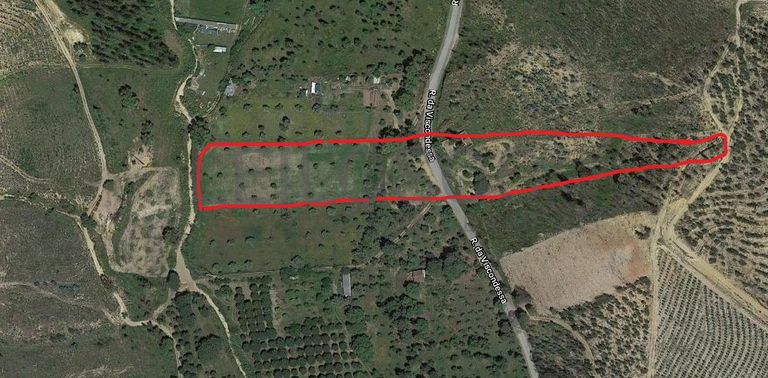 Quinhão Hereditário