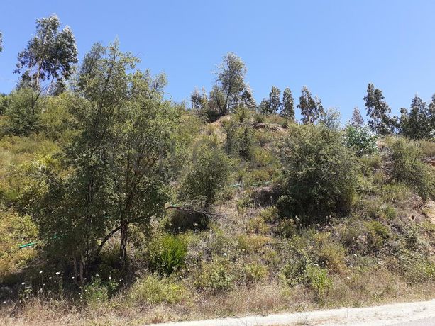 Quinhão Hereditário