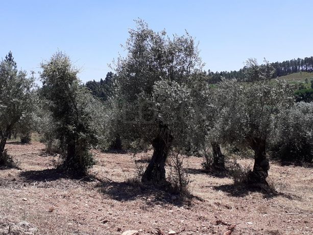 Quinhão Hereditário