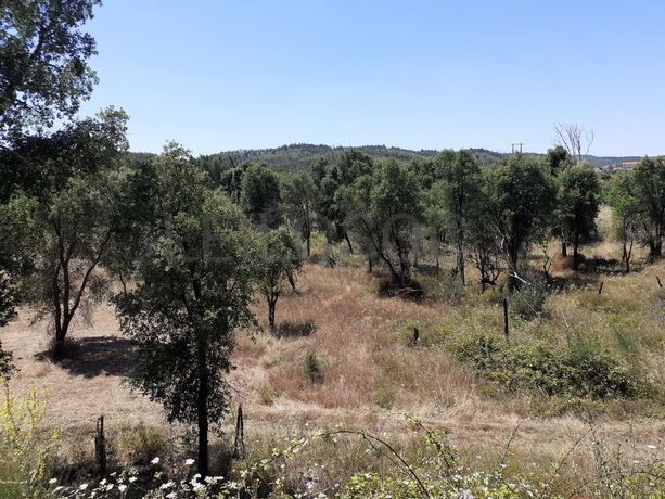 Quinhão Hereditário