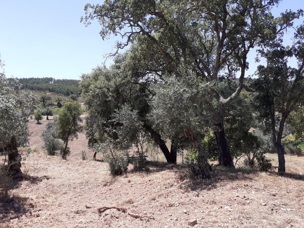 Quinhão Hereditário