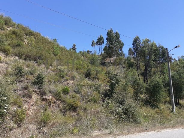 Quinhão Hereditário