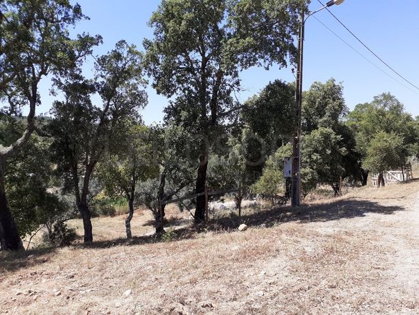 Quinhão Hereditário