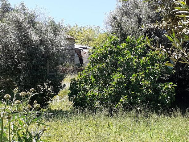 Moradia em Ruínas c/ Terreno · Tomar