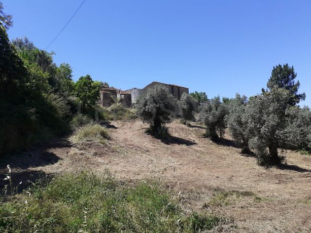 Moradia em Ruínas c/ Terreno · Tomar