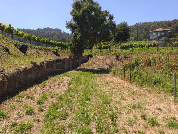 1/8 de Terrenos · Santo Tirso