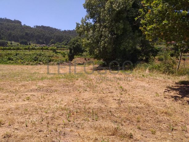 1/8 de Terrenos · Santo Tirso