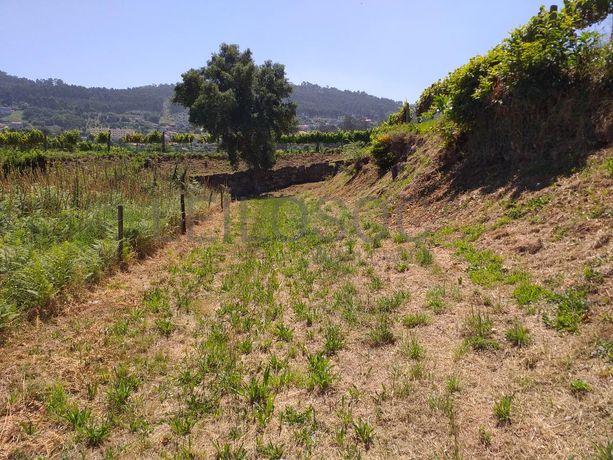 1/8 de Terrenos · Santo Tirso