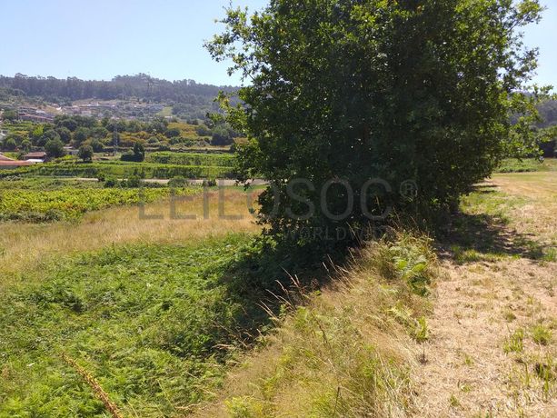 1/8 de Terrenos · Santo Tirso