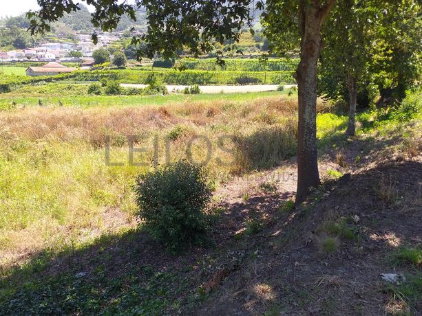 1/8 de Terrenos · Santo Tirso