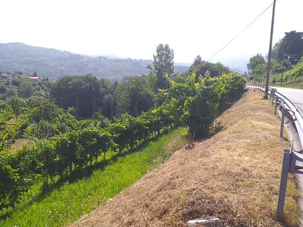 1/2 Usufruto de Terrenos · Marco de Canaveses