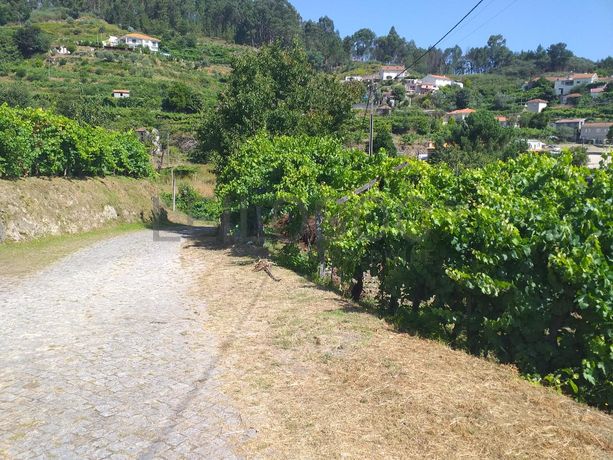 1/2 Usufruto de Terrenos · Marco de Canaveses