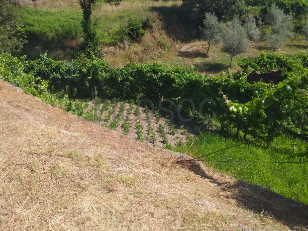 1/2 Usufruto de Terrenos · Marco de Canaveses