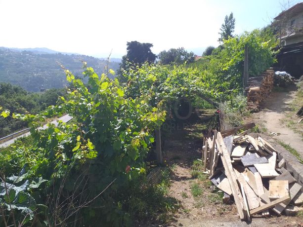 1/2 Usufruto de Terrenos · Marco de Canaveses